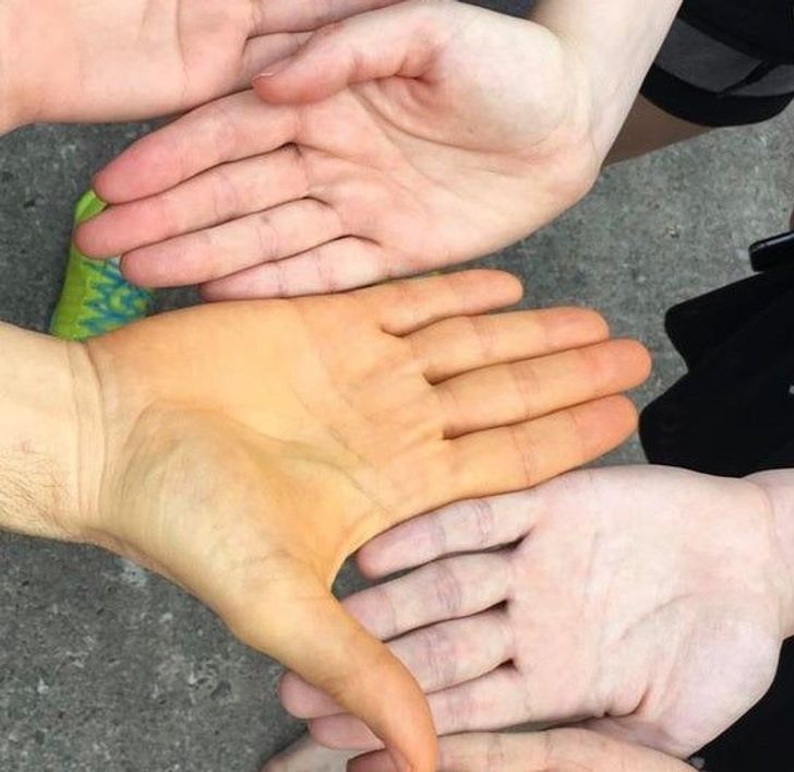 Illustration de l'article : 14 fascinating comparisons