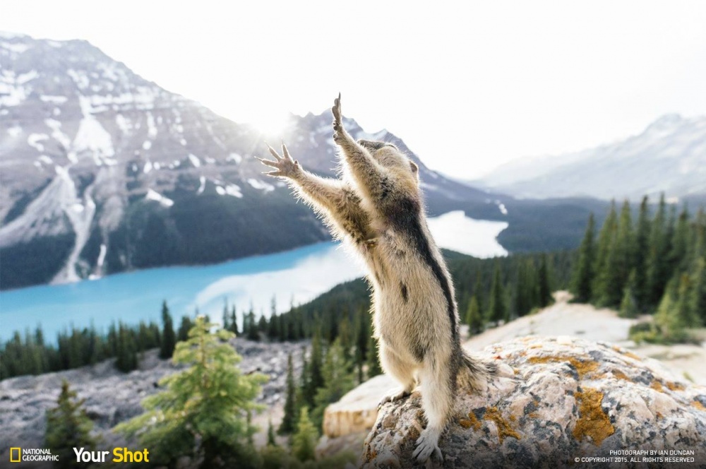 Illustration de l'article : 24 photos that will be hard to forget