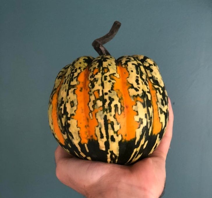 Illustration de l'article : 19 photos of masterpieces in the most unexpected places