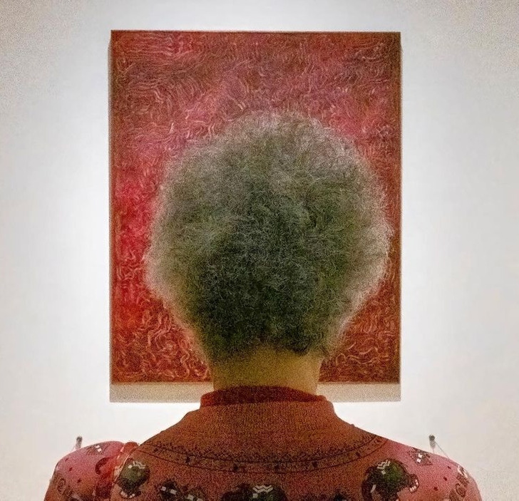 Illustration de l'article : 20 photos taken at exactly the right moment