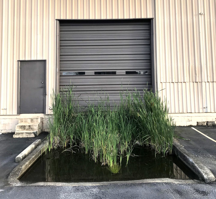 Illustration de l'article : 27 unexpected discoveries found by chance