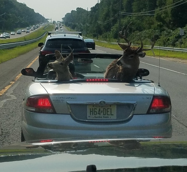 Illustration de l'article : 18 people who stood out from the crowd for a variety of reasons