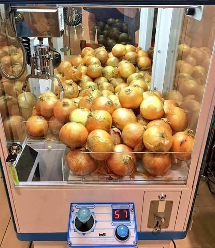 Illustration de l'article : 19 crazy sights caught on camera