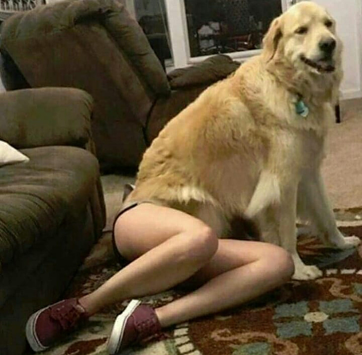 Illustration de l'article : 21 photos that'll take a little time to understand