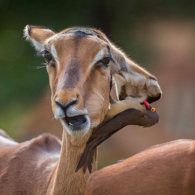 Illustration de l'article : 16 freaky photos guaranteed to blow your mind