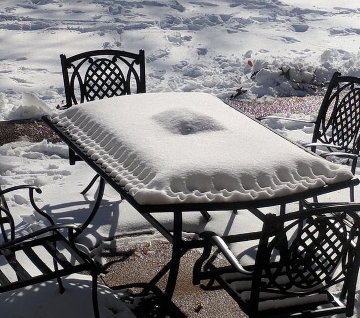 Illustration de l'article : 29 satisfying photos of perfection