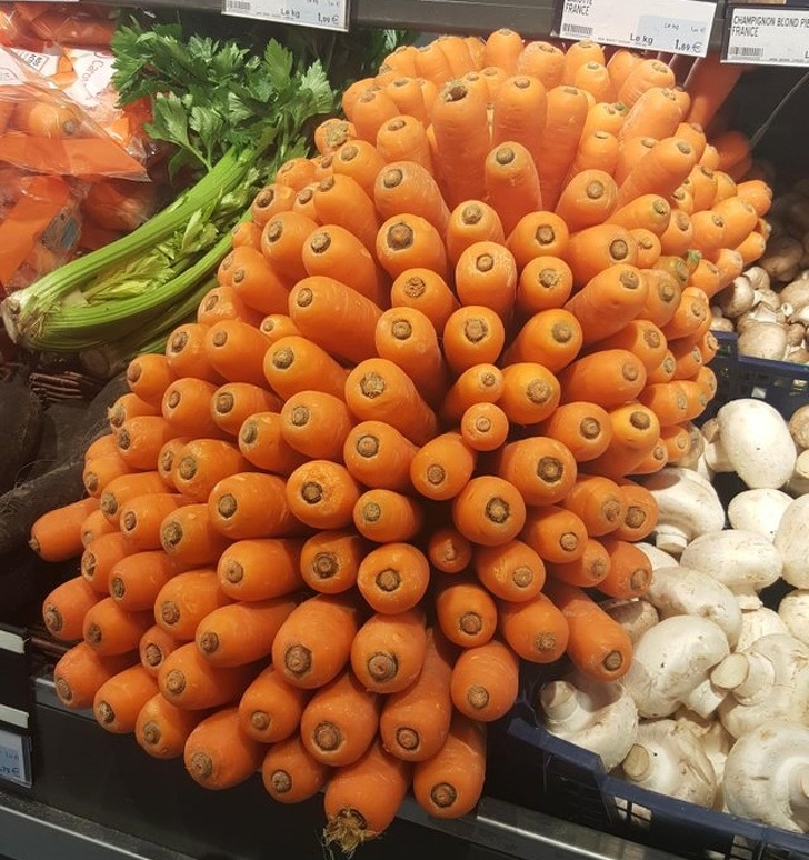 Illustration de l'article : 29 satisfying photos of perfection