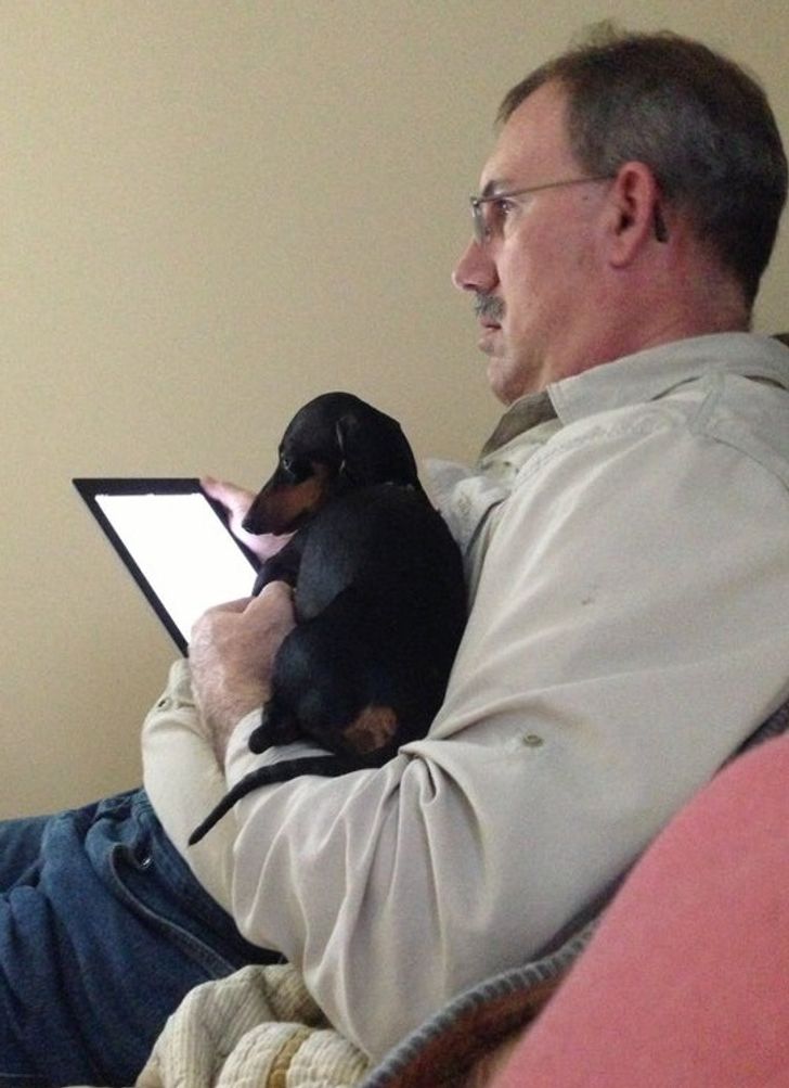 Illustration de l'article : 20 people who were against adopting a pet until this happened