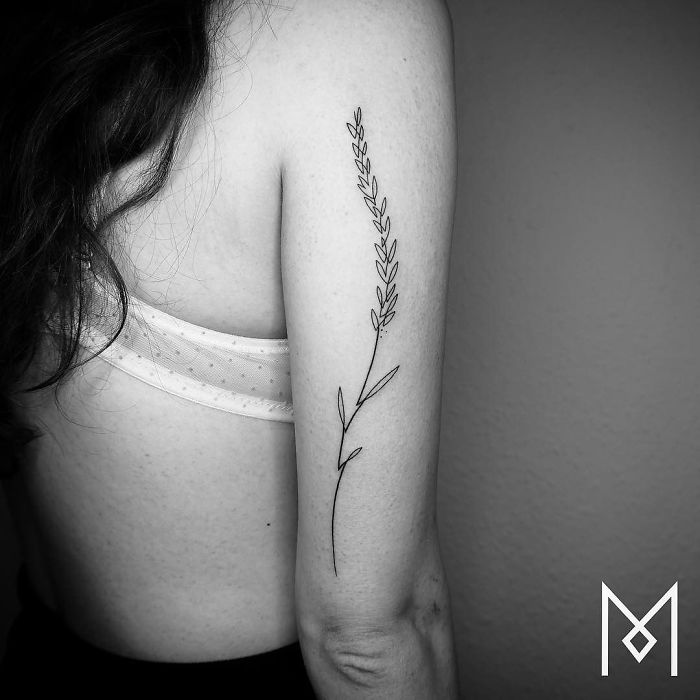 Illustration de l'article : 20 beautiful tattoos created using a single continuous line