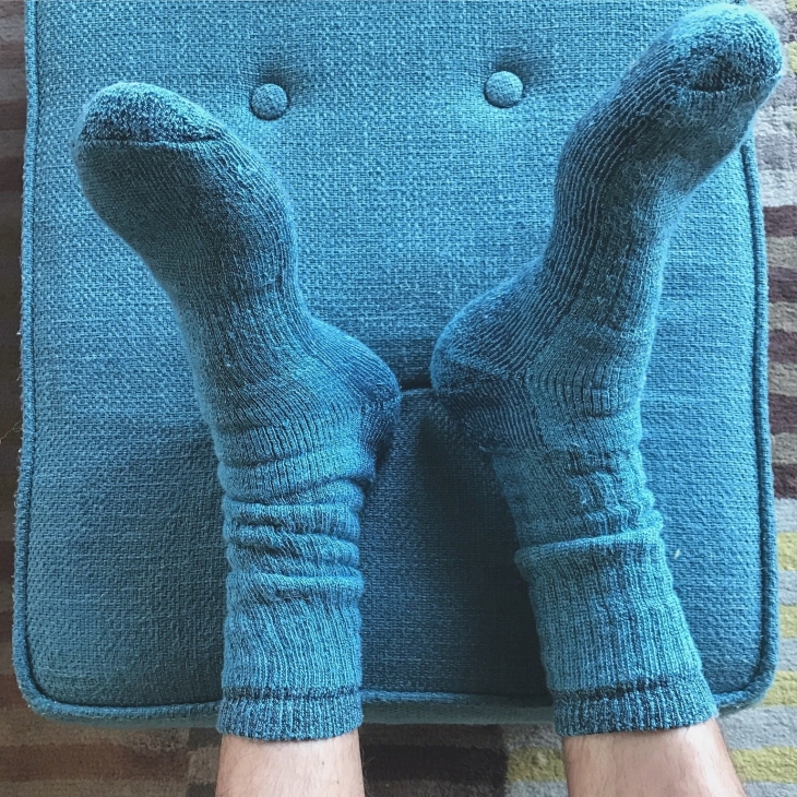 Illustration de l'article : 32 perfect examples of accidental camouflage