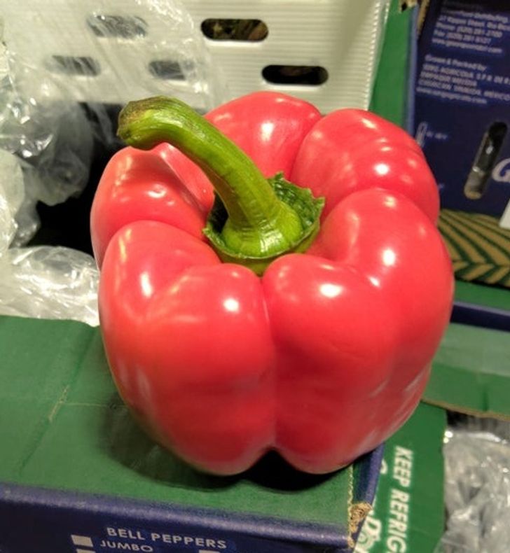 Illustration de l'article : 19 photos that illustrate the beauty of nature