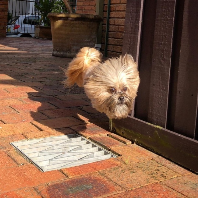 Illustration de l'article : 32 awesome perfectly-timed photos
