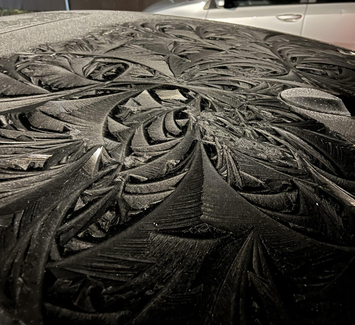 Illustration de l'article : 20 photos that illustrate the beauty of icy winters