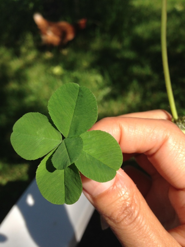 Illustration de l'article : 27 people who were blessed by a stroke of good luck