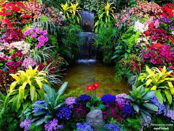 Illustration de l'article : 15 photos of the world's most dangerous garden