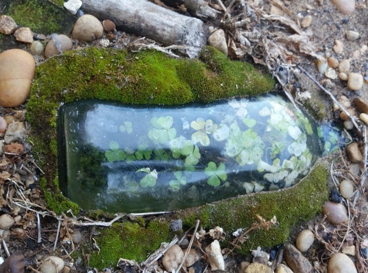Illustration de l'article : 20 unsual objects discovered by chance