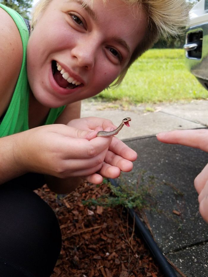 Illustration de l'article : 20 photos that will surely help you get over your fear of snakes