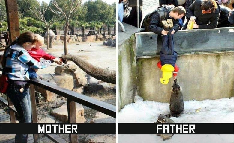 Illustration de l'article : 10 differences between mothers and fathers displayed in pictures! Which ones are the most hilarious?