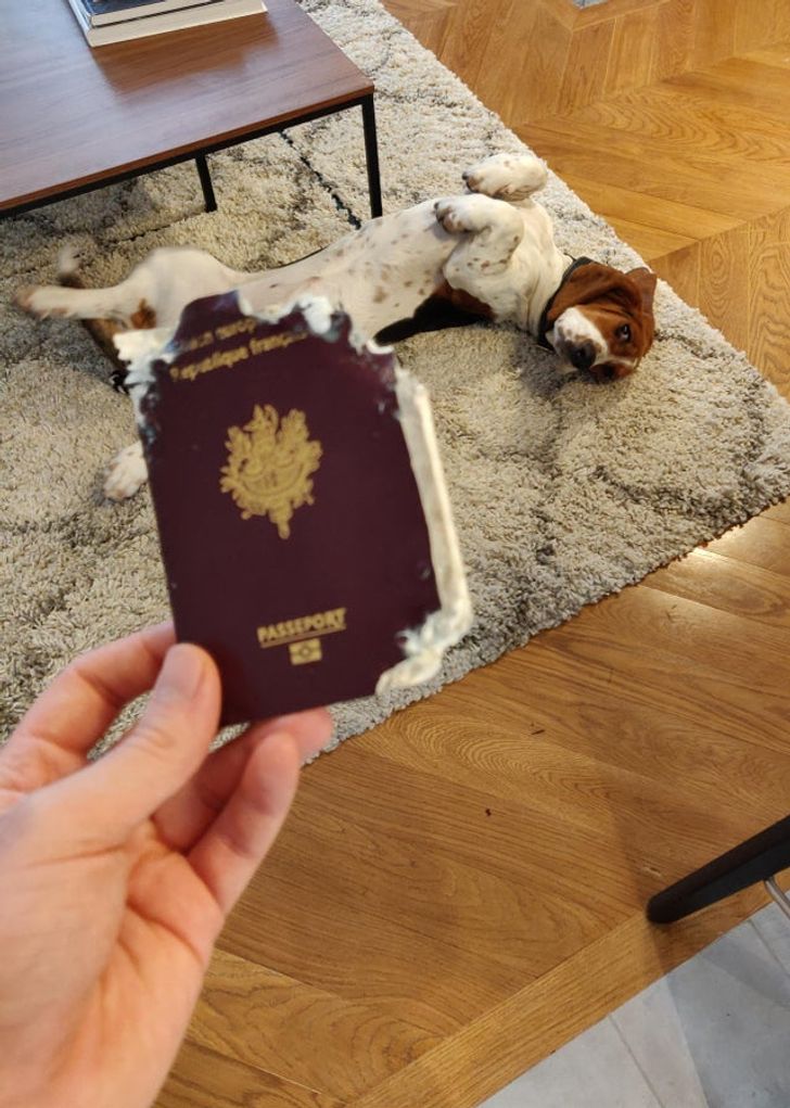 Illustration de l'article : 20 people who had a day to remember - for all the wrong reasons