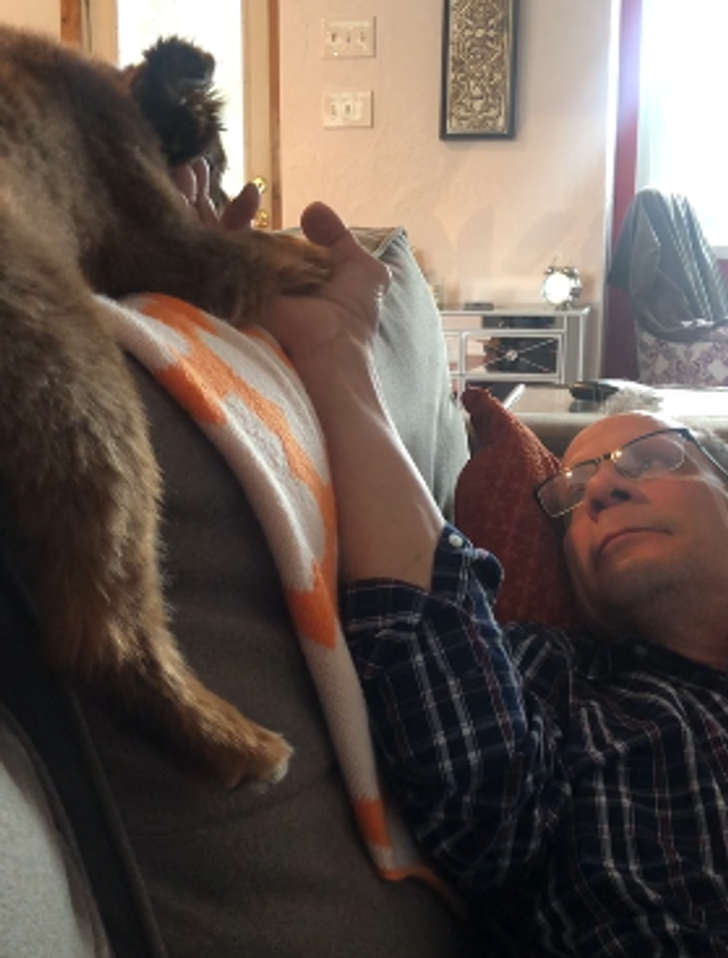 Illustration de l'article : 20 people who were against adopting a pet until this happened