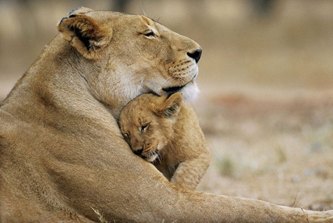 Illustration de l'article : 17 pictures that will stir your emotions