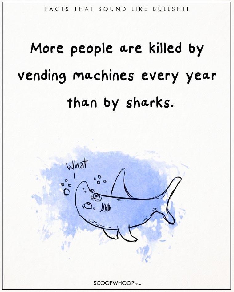 Illustration de l'article : 22 crazy but totally true facts illustrated with drawings!