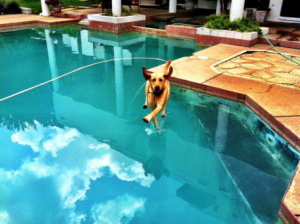 Illustration de l'article : 21 unlikely photos taken just before a catastrophe!