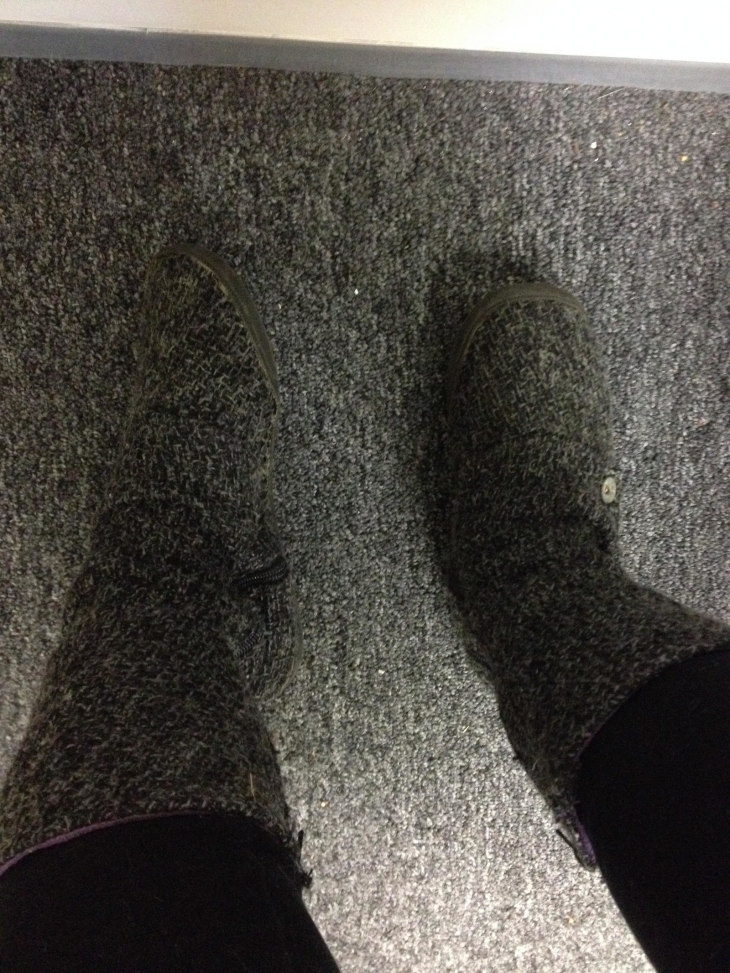 Illustration de l'article : 32 perfect examples of accidental camouflage