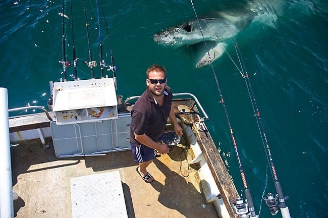 Illustration de l'article : 22 photobombs that took the internet by storm
